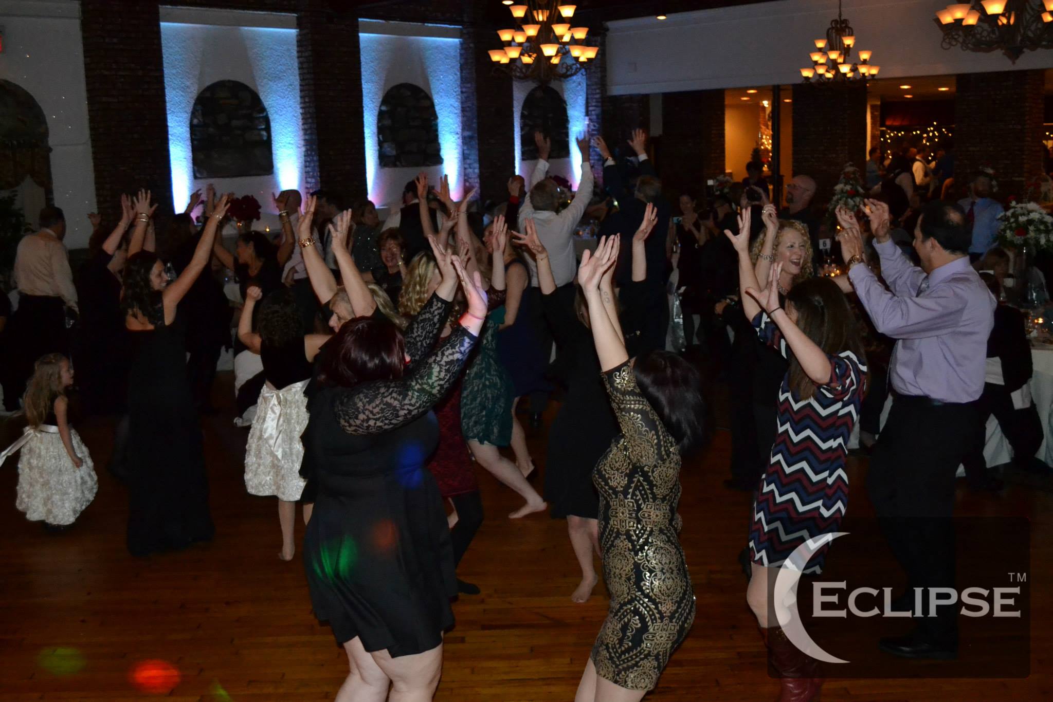 DSP SOFTWARE DOWNLOAD FREE DEMOS ECLIPSE AUDIO intelligence overview